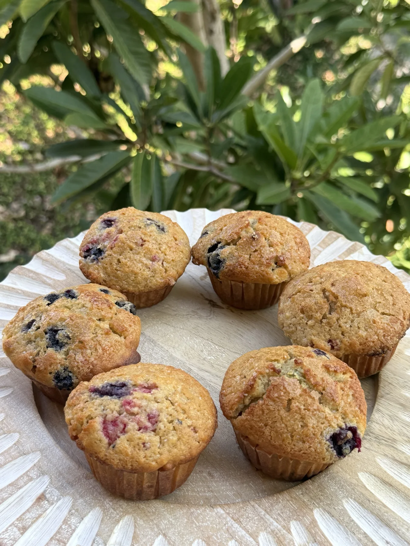 A batch of Anna’s berry muffins outdoors