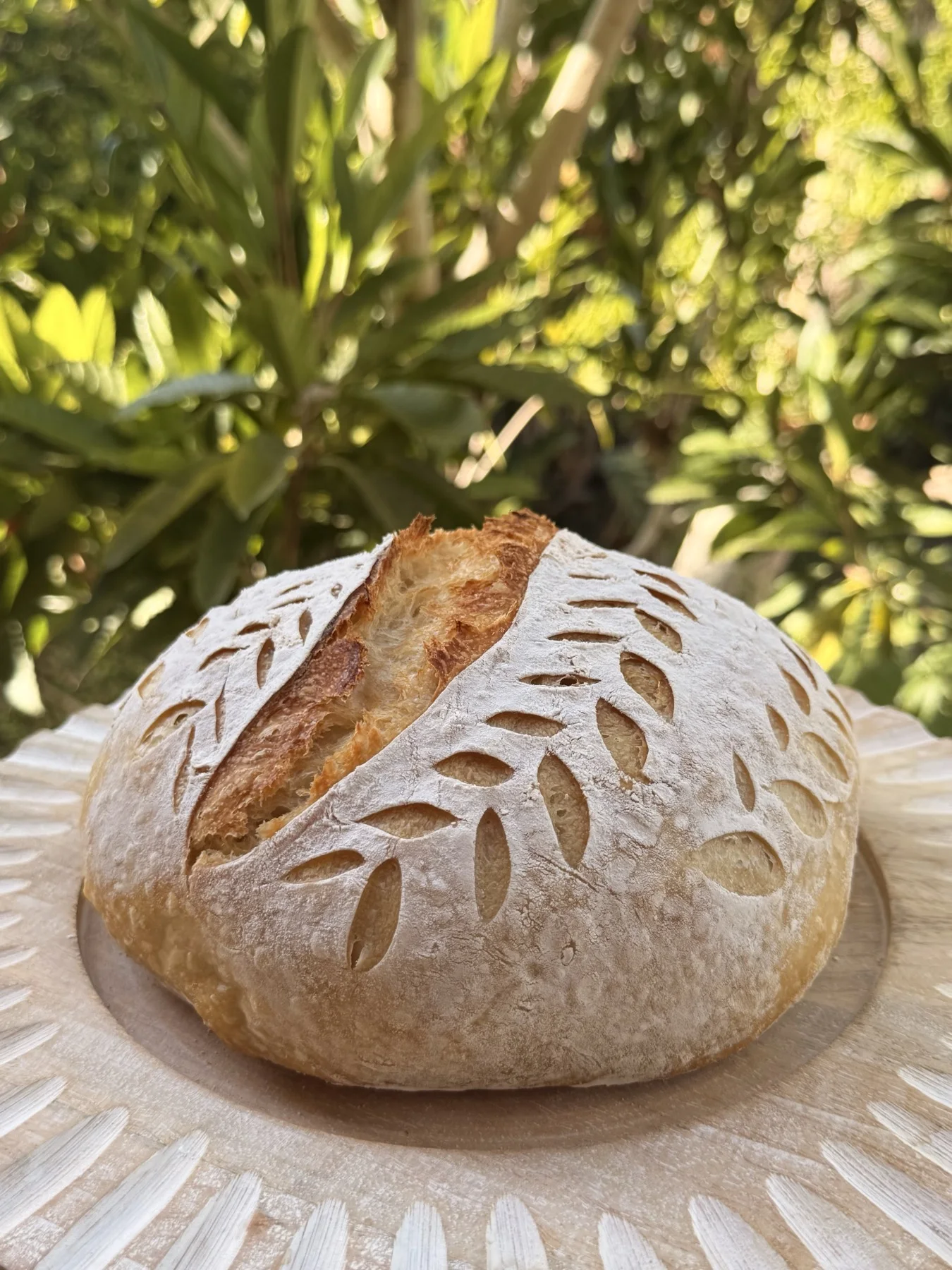 Anna’s hand-scored sourdough loaf in a sunny Malibu garden