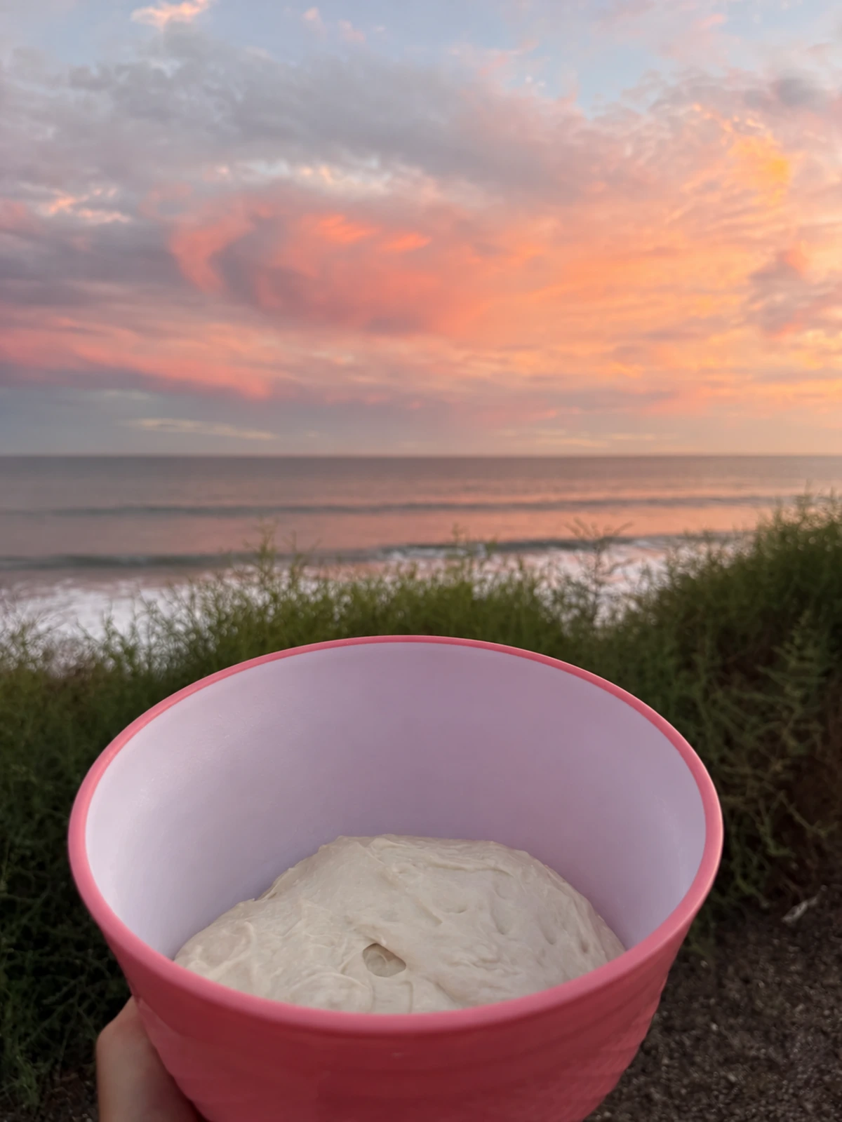 Sourdough resting in a clean pink mixing bowl above the Malibu ocean at sunset